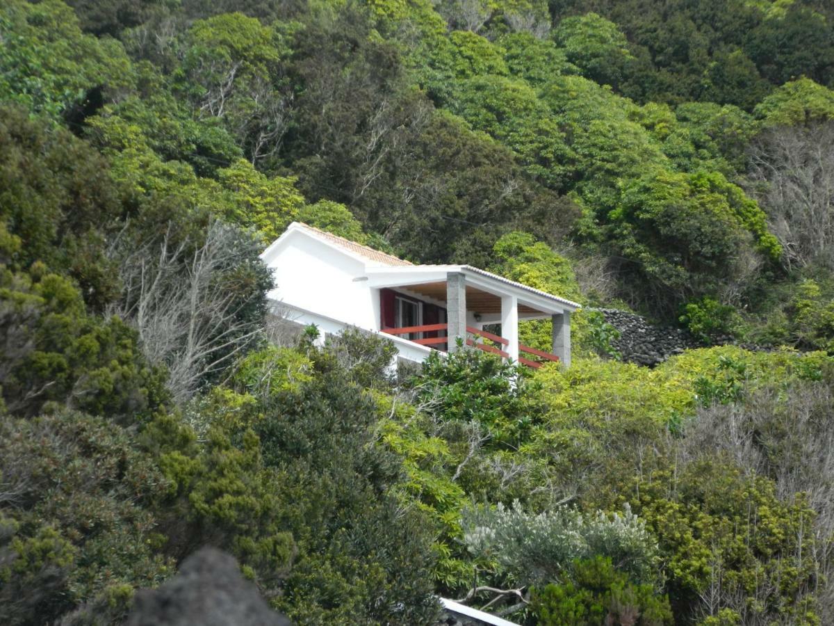 Adega Ninho Da Cagarra Villa Calheta de Nesquim Eksteriør bilde