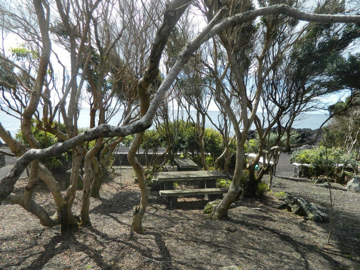 Adega Ninho Da Cagarra Villa Calheta de Nesquim Eksteriør bilde